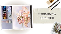 Урок 2. Пятнистая орхидея