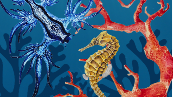 Курс 'Кораловий риф' з Катею Шиовою