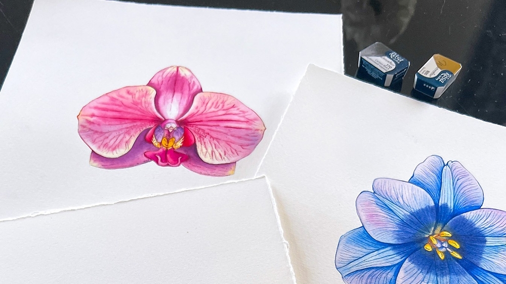 'Ботанічна ілюстрація' з Наталією Купчик