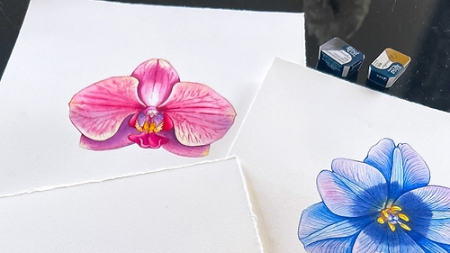 'Ботанічна ілюстрація' з Наталією Купчик