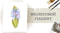Урок 3. Фіолетовий гіацинт