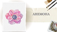 Урок 2. Анемона