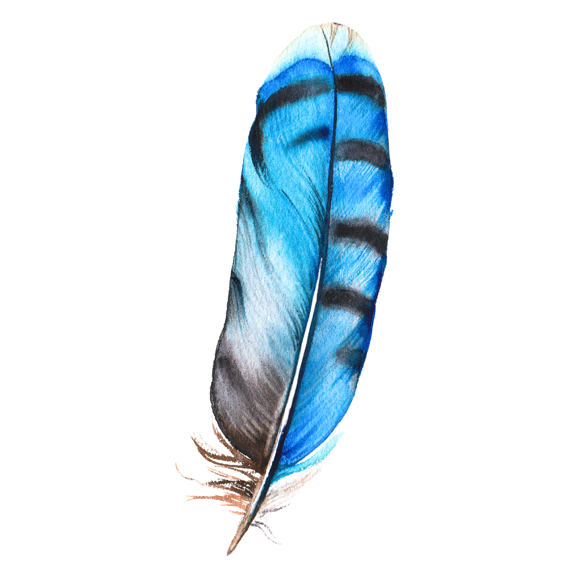 Item preview