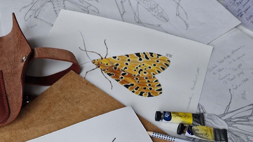 Курс 'Шедеври мікросвіту' з Катею Шиовою