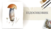 Урок 2. Підосиковик