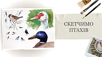 Урок 5. Скетчим птичек