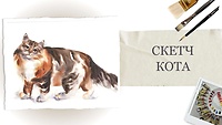 Урок 9. Скетч кота за 30 хвилин