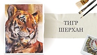Урок 13. Тигр Шерхан