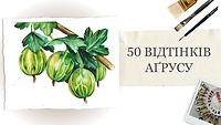 Урок 3. 50 відтінків аґрусу