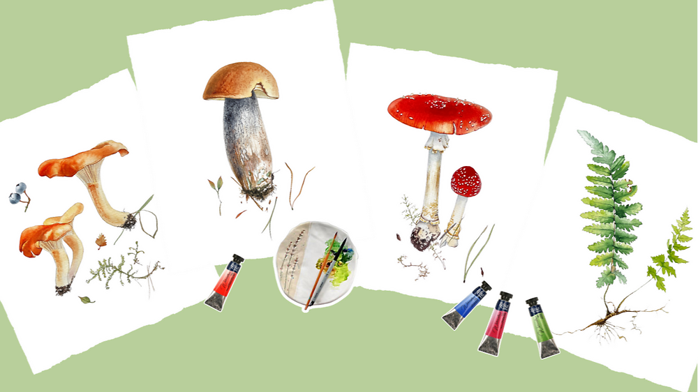 'Лісові скарби' з Наталією Купчик