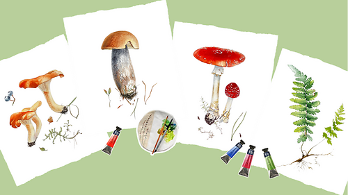 'Лісові скарби' з Наталією Купчик