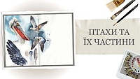 Урок 4. Птахи та їх частини