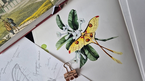 'Нотатки мандрівника: Мадагаскар' з Катею Шиовою