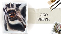 Урок 1. "Око зебри" від Кароліни Бундаш