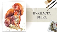 Урок 2. Пухнаста білка