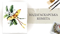 Урок 3. Мадагаскарська комета