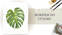 Урок 4. Мокрим по сухому