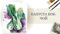 Урок 1. Капуста Бок-чой