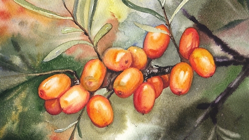 'Барви осені' з Кароліною Бундаш