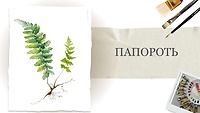 Пробний урок. Папороть
