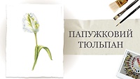 Урок 2. Білий папужковий тюльпан
