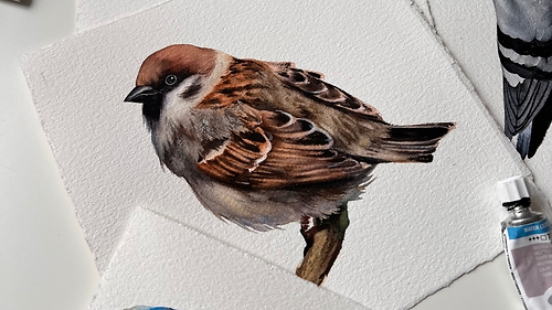 Курс 'Крилаті сусіди' з Кароліною Бундаш