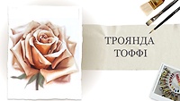 Урок 3. Тоффи роза