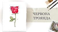 Урок 1. Червона троянда з листочком