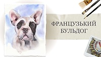 Урок 1. Французький бульдог