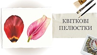 Пробний урок. Квіткові пелюстки