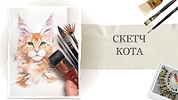 Урок 15. Скетч кота