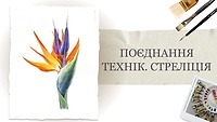 Урок 6. Поєднання технік. Стреліція