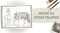 Урок 11. Пози та рухи тварин