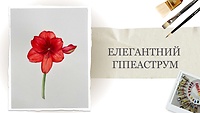 Урок 1 . «Елегантний гіпеаструм»  від Наталії Купчик