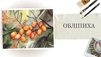 Урок 3. Обліпиха