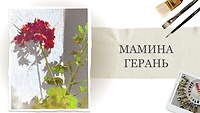 Открытый урок "Мамина герань"