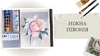 Урок 3. Нежный пион
