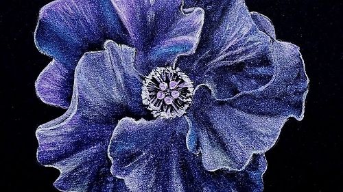 Курс «Акварель на чорному папері» з Альоною Грінчук