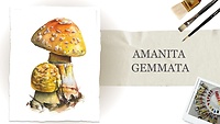 Урок 2. Amanita Gemmata 🍄