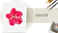 Пробний урок. Азалія