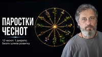 4. Де зароджується людяність? (1-3 базові чесноти)