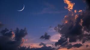 Новолунный цигун 11-2025