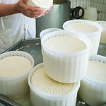 Основи сироваріння