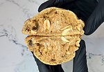 Peanut Butter Cookies