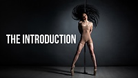 The Introduction