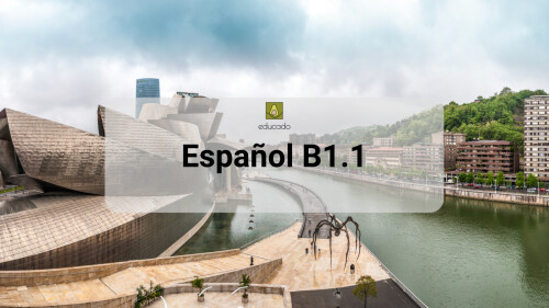 Español B1.1