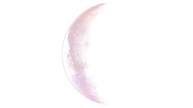 Item preview
