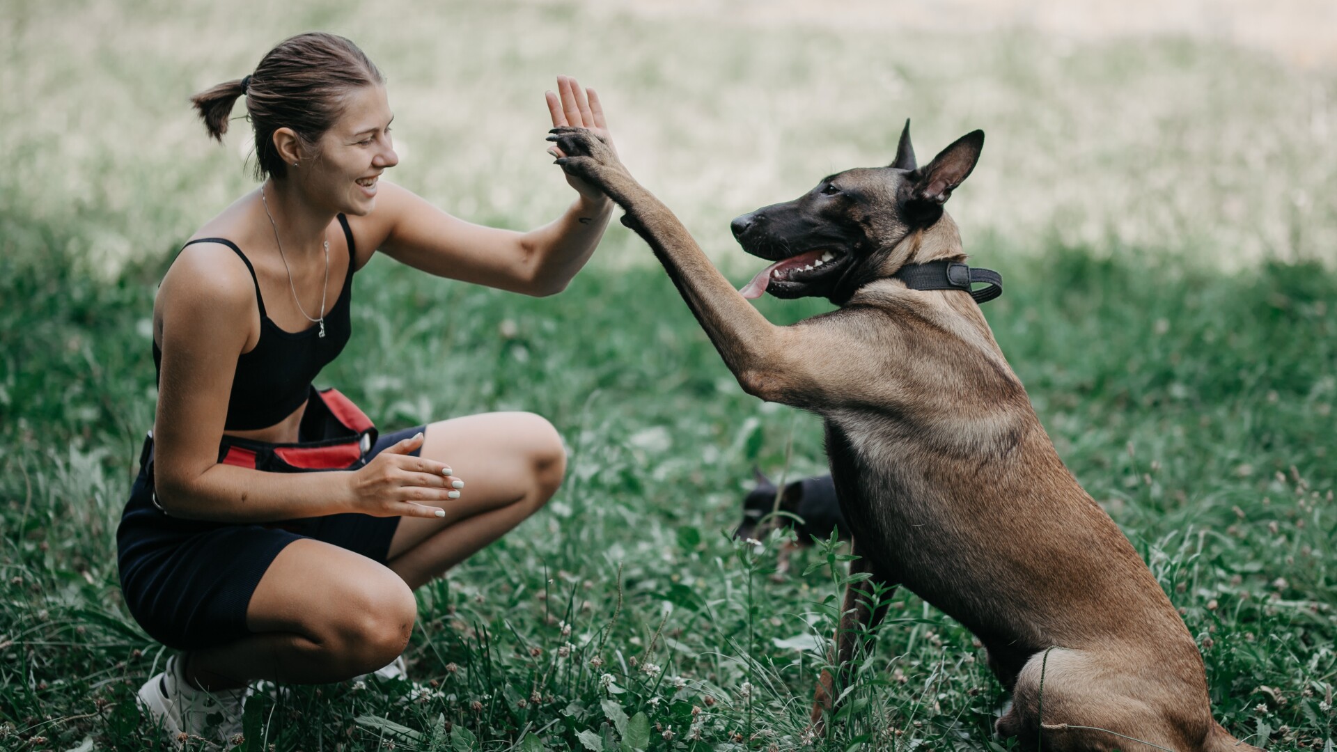 “База.Фундамент.Ґрунт”: Три складові успішної роботи з собакою про які знають не всі