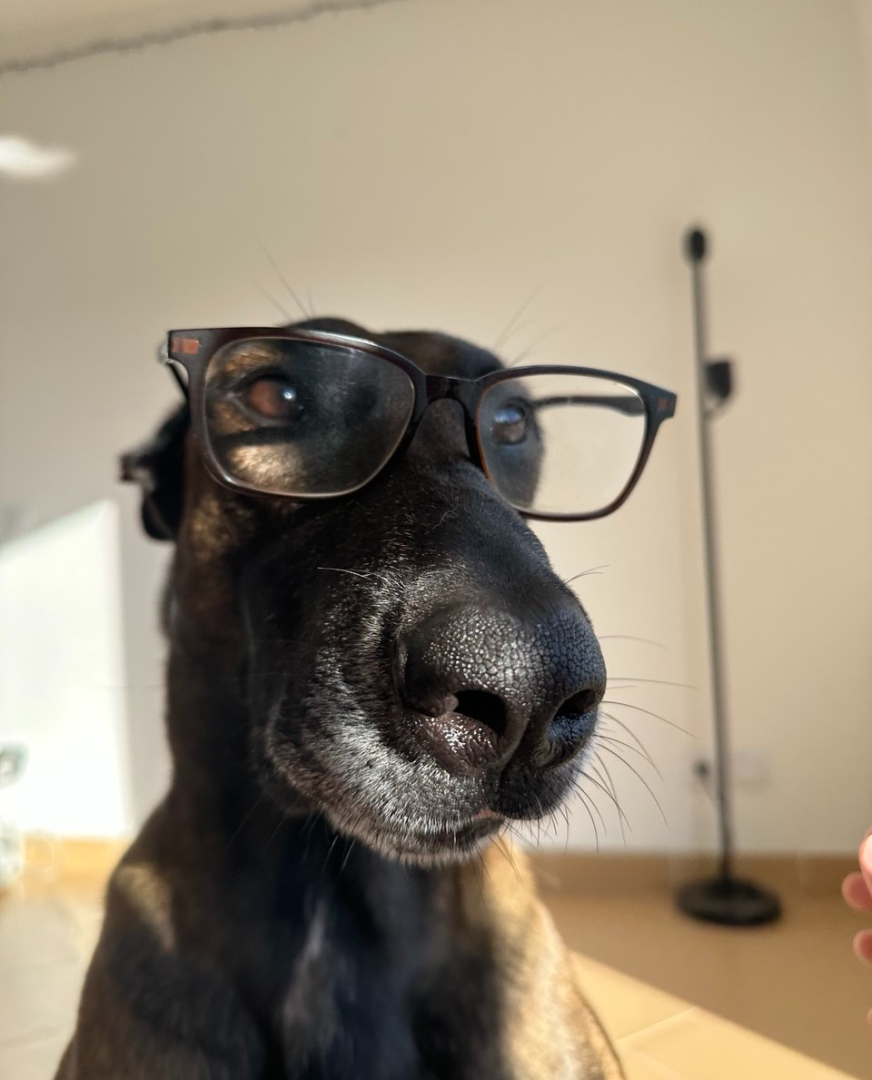 Увага! Контакт та мотивація!