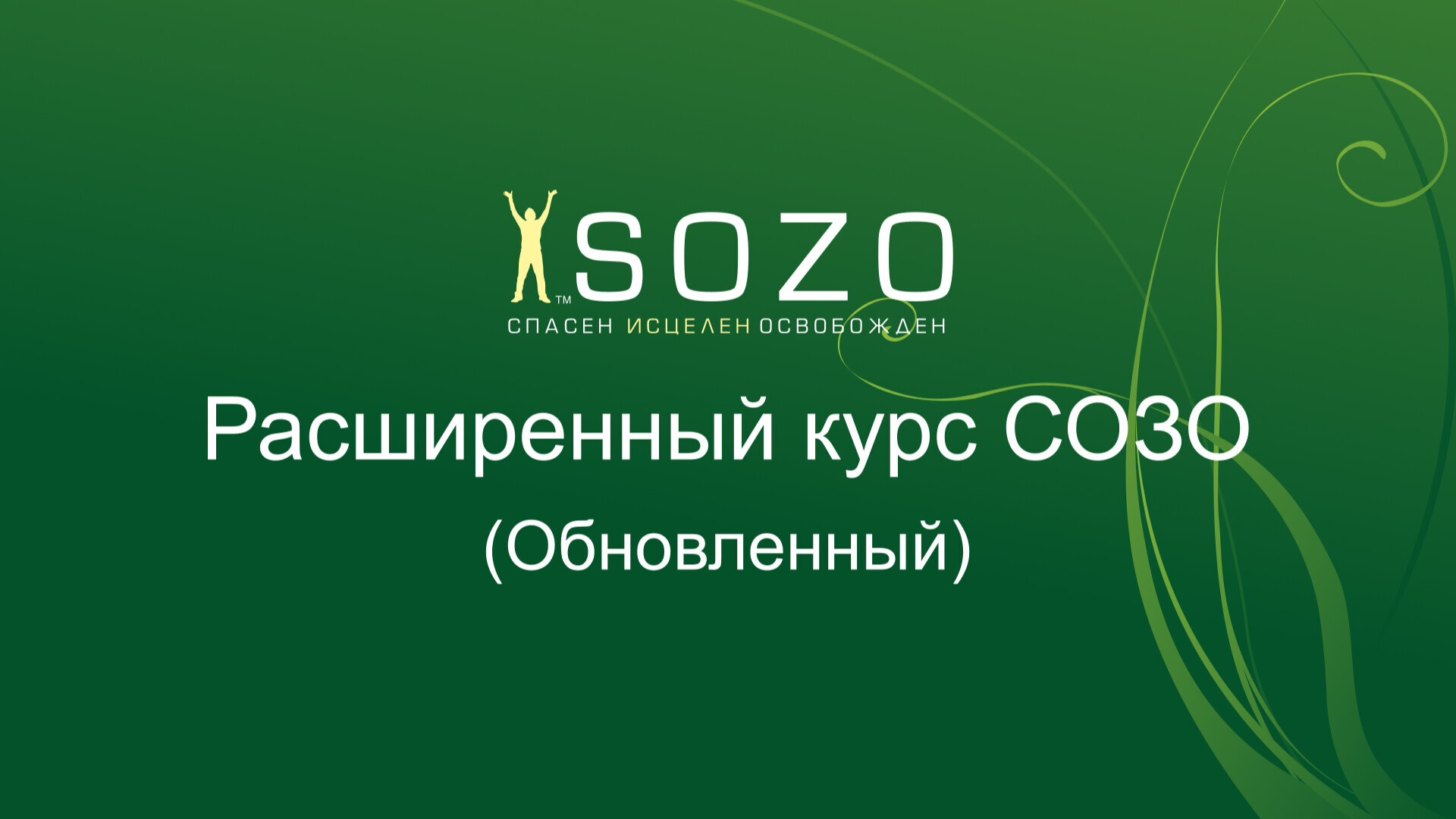 Расширенный курс СОЗО - обновленный